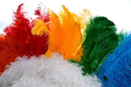 Feather
