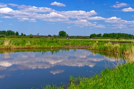 Water Resources, Wetland, Nature Reserve, Marsh photo