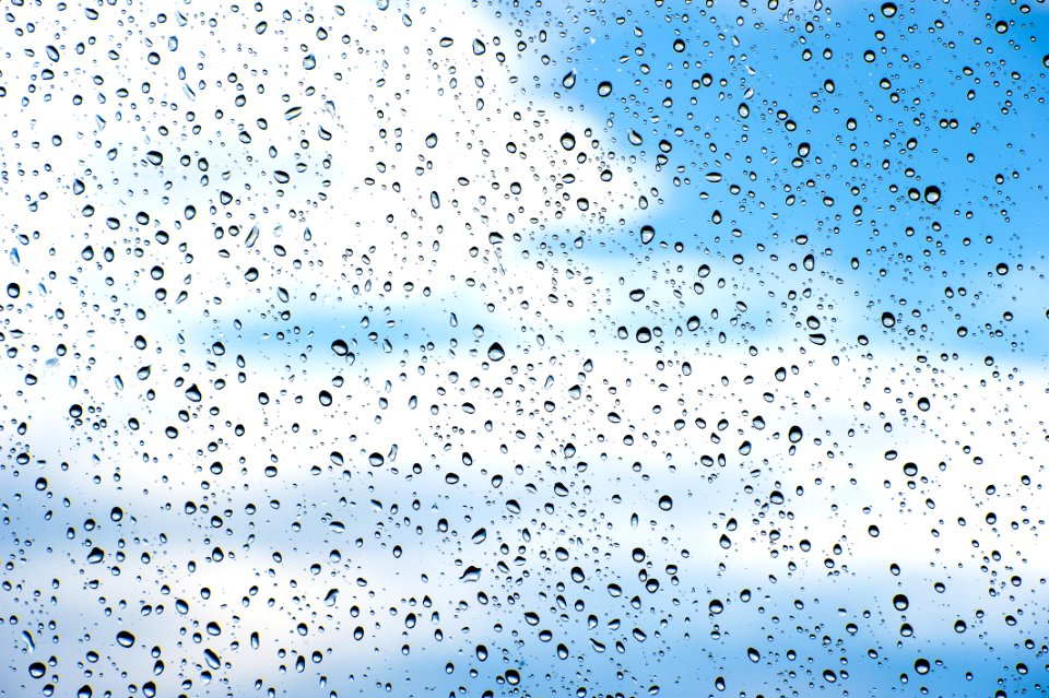 Sky, Water, Flock, Bird Migration