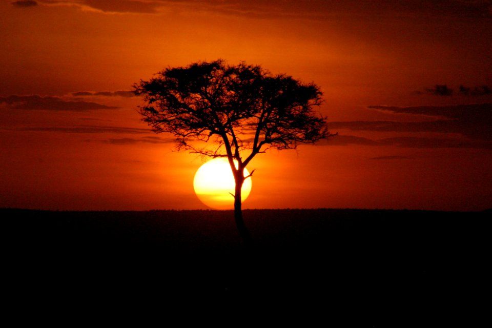 Sky, Sunrise, Afterglow, Sunset