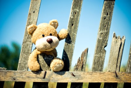 Sky, Teddy Bear, Snout, Toy