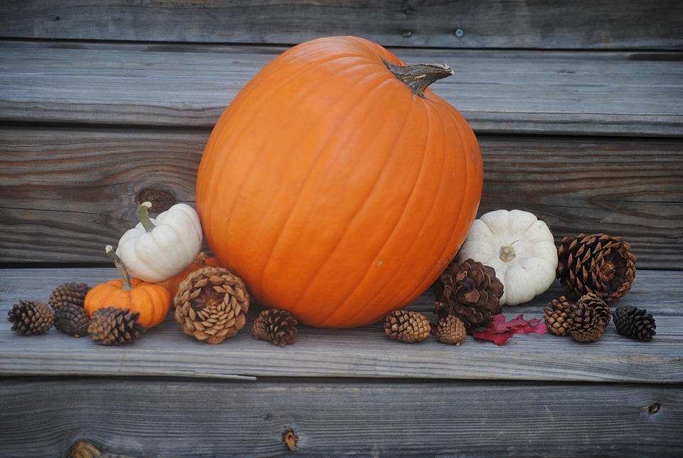 Harvest season celebration