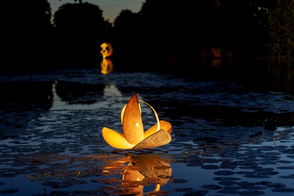 Water, Yellow, Reflection, River