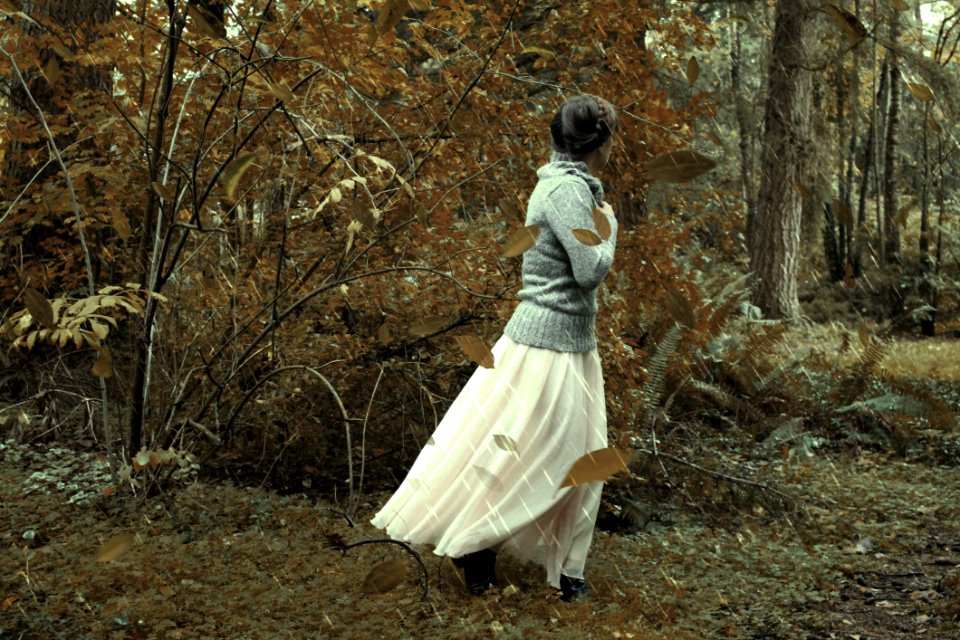 Woodland, Dress, Tree, Forest