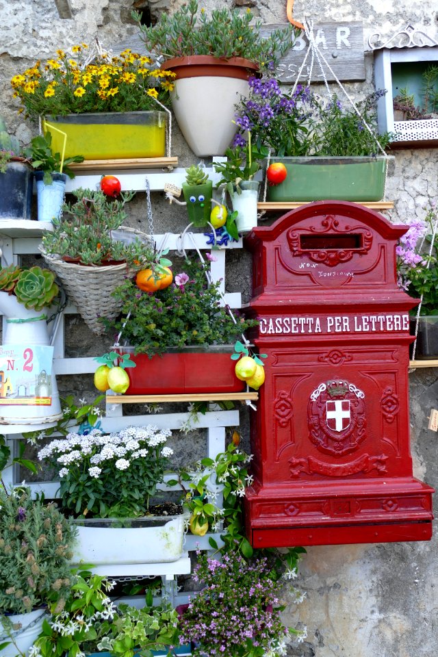 Garden, Plant, Flower, Flowerpot
