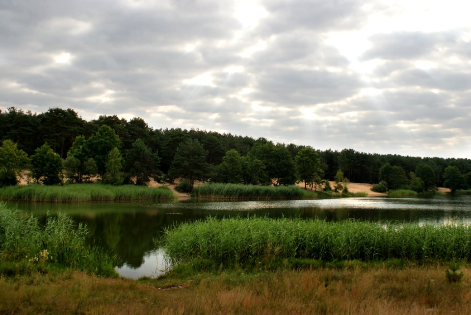 Nature, Reflection, Water, Lake