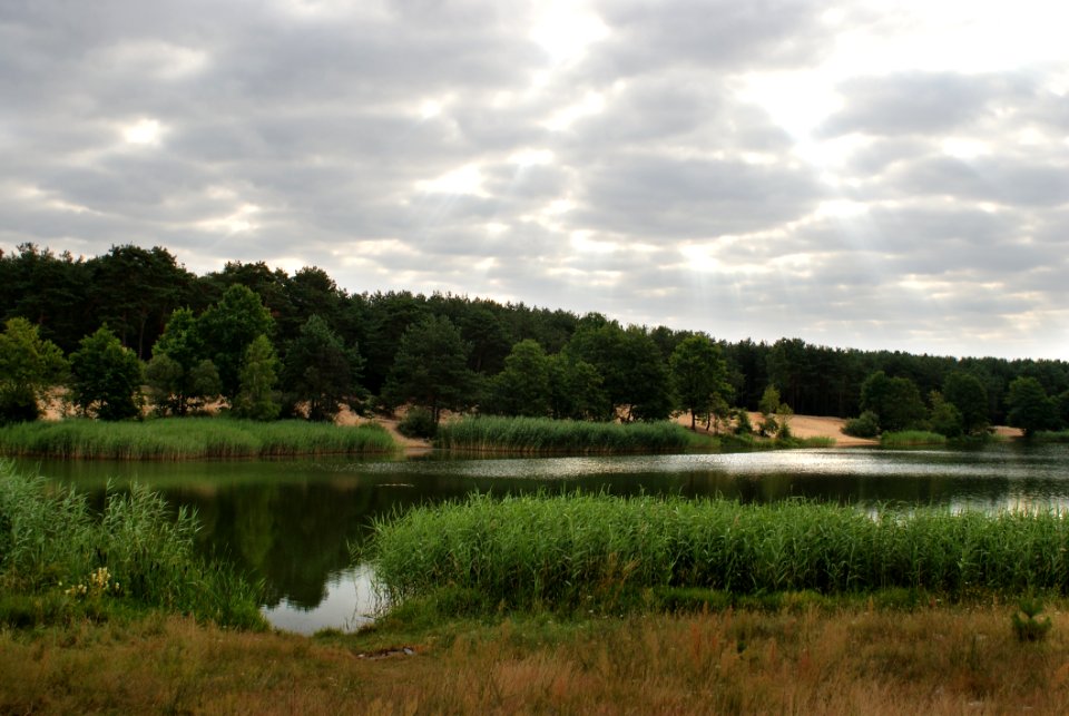 Nature, Reflection, Water, Lake photo