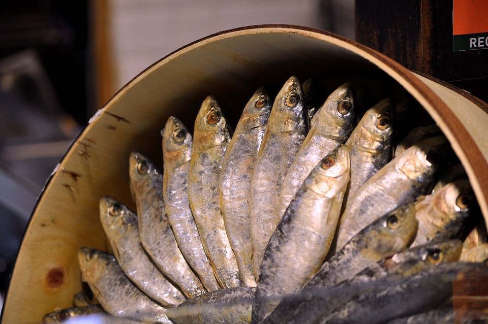 Salting canned sardines