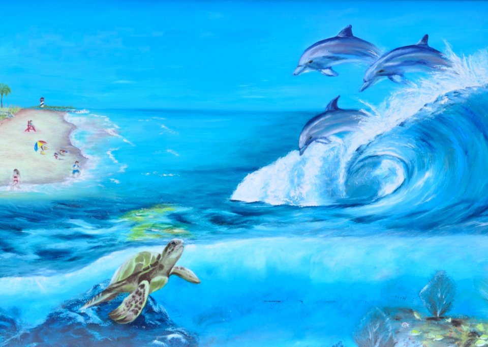 Mammal, Marine Mammal, Dolphin, Water