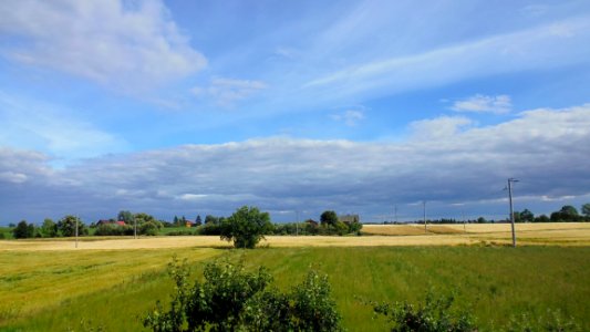 Grassland, Sky, Field, Plain photo