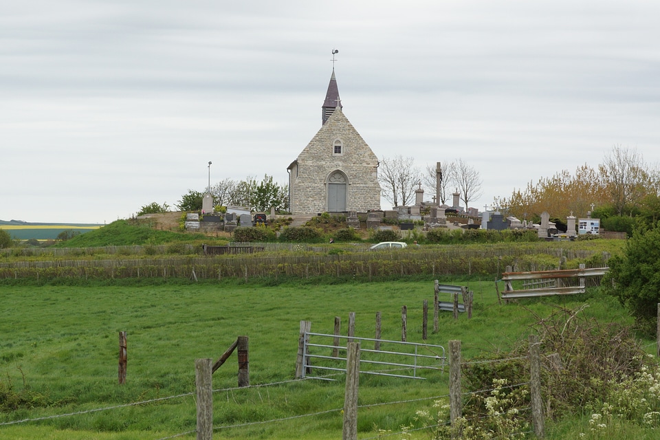 Landscape green fences
