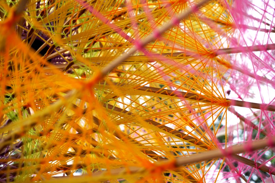 Close Up, Organism