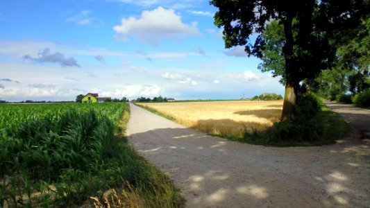 Nature Reserve, Road, Sky, Field