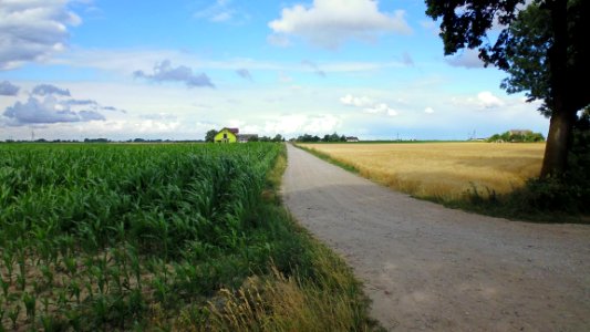 Road, Field, Sky, Plain photo