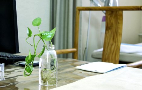 Table, Furniture, Glass, Interior Design photo