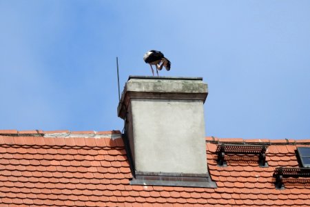 Sky, Roof, Wall, Bird photo