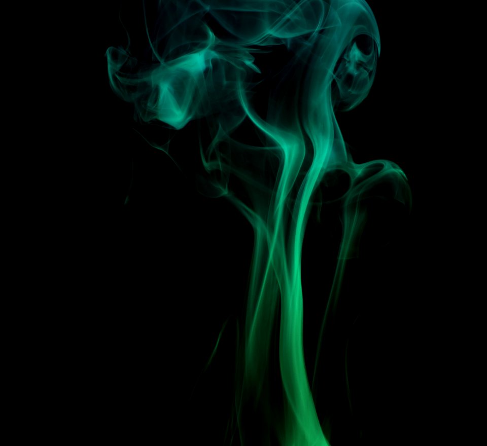 Smoke, Organism, Computer Wallpaper