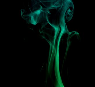 Smoke, Organism, Computer Wallpaper