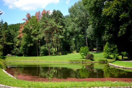 Nature, Garden, Botanical Garden, Vegetation