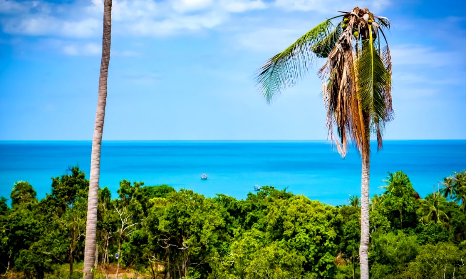 Sea, Tropics, Sky, Caribbean
