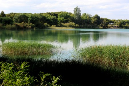 Water, Body Of Water, Nature Reserve, Lake