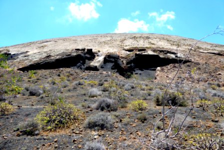 Rock, Shrubland, Ecosystem, Vegetation photo