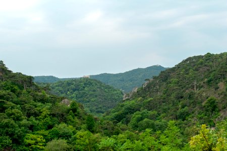 Vegetation, Mountainous Landforms, Nature Reserve, Hill Station