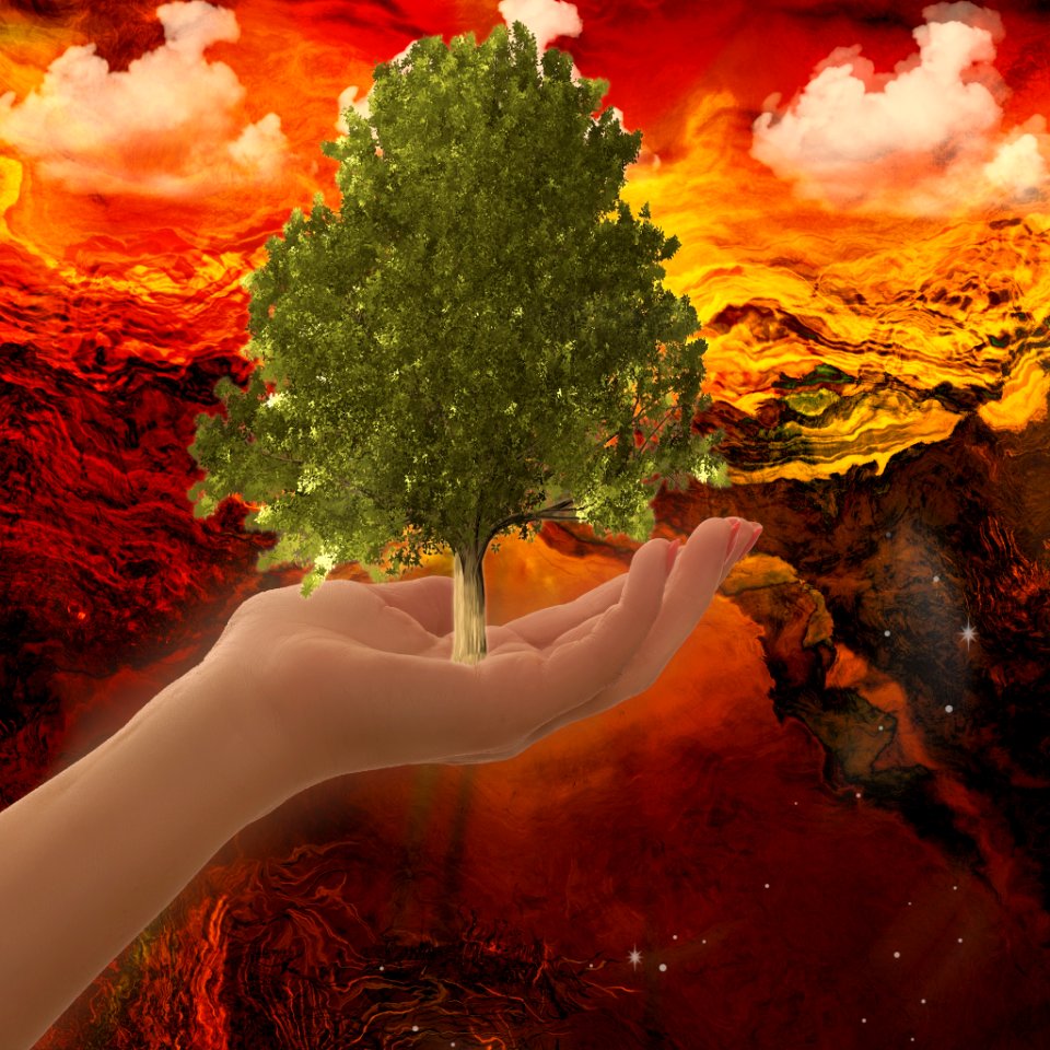 Nature, Geological Phenomenon, Tree, Sky