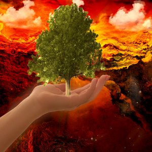 Nature, Geological Phenomenon, Tree, Sky