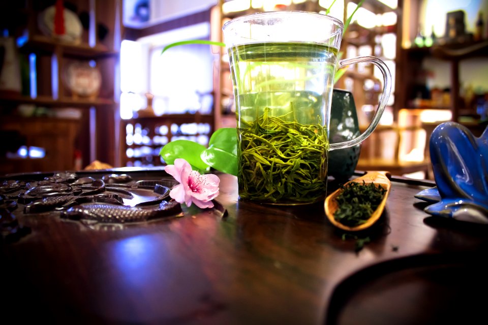 Glass, Drink, Table, Plant