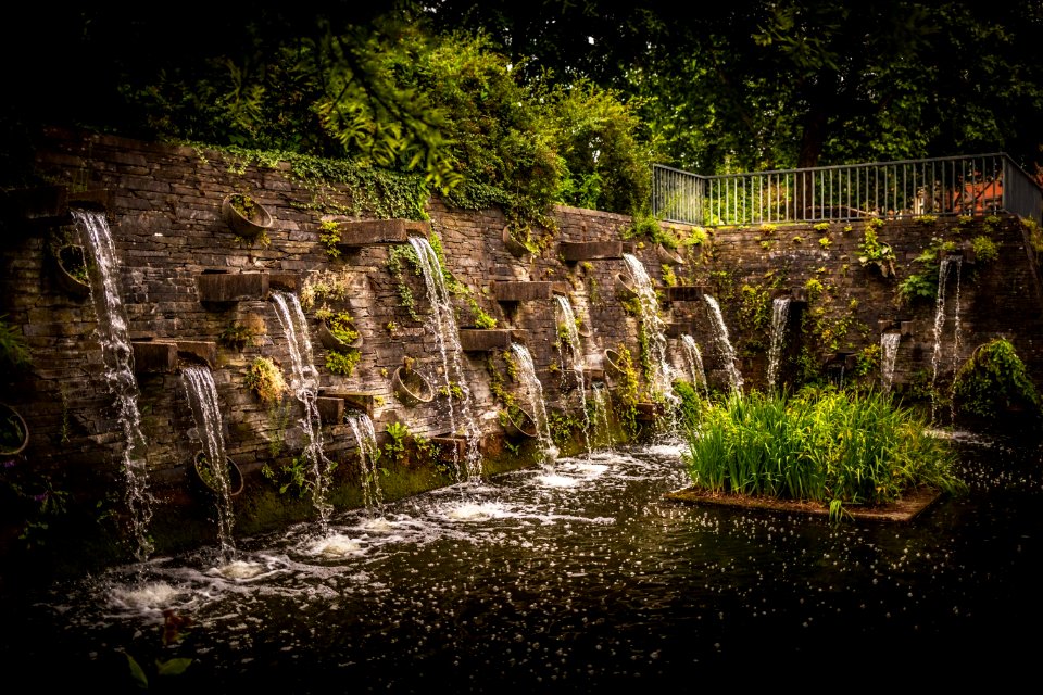 Nature, Water, Vegetation, Grass