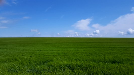 Grassland, Sky, Field, Ecosystem photo