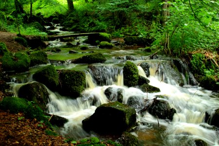 Water, Nature, Stream, Watercourse