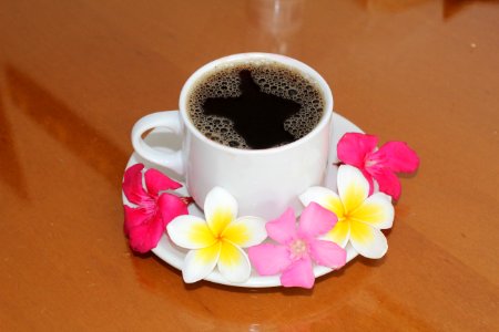 Coffee Cup, Flower, Cup, Tableware