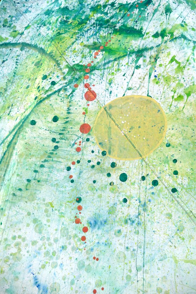 Aerial Photography, Map, Leaf, Water Resources