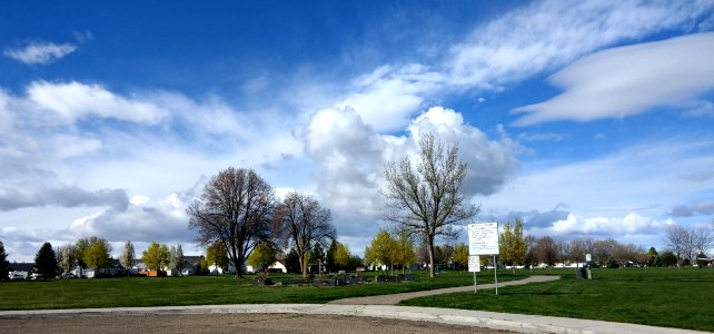 Cloud, Sky, Daytime, Tree photo