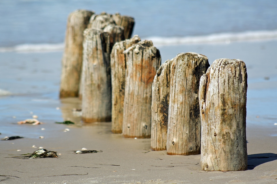 Beach sea north sea