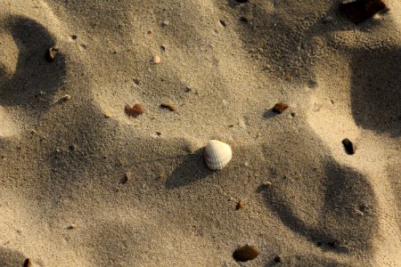 Sand, Footprint, Rock, Material photo