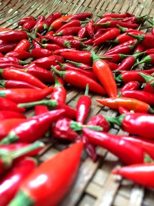 Natural Foods, Vegetable, Chili Pepper, Local Food photo