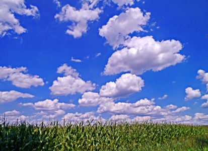 Sky, Cloud, Grassland, Cumulus photo