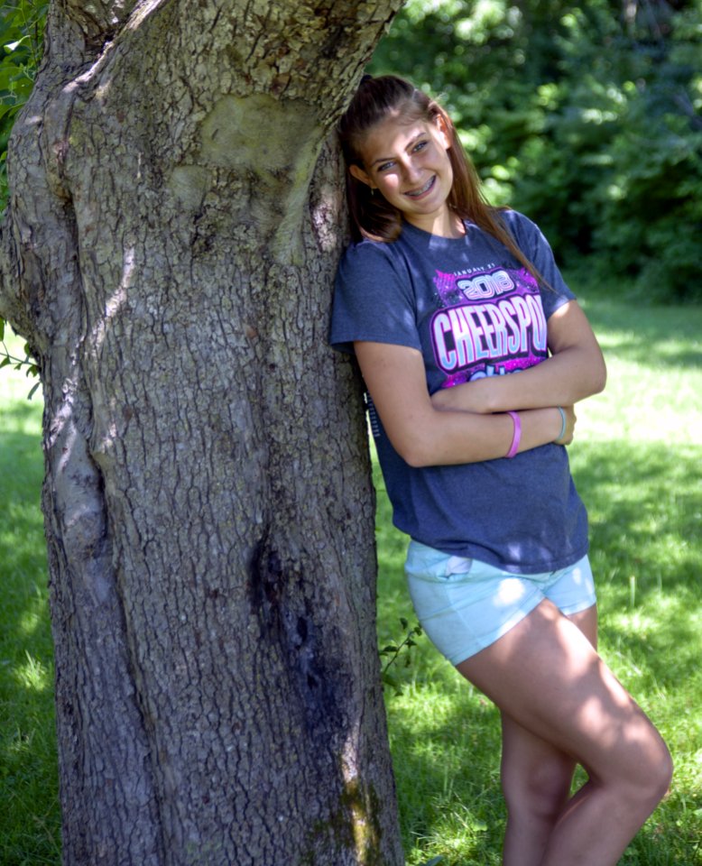 Tree, Plant, Woody Plant, Nature