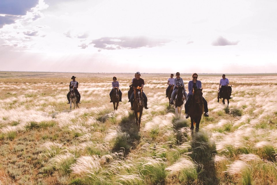 Ecosystem, Grassland, Steppe, Ecoregion
