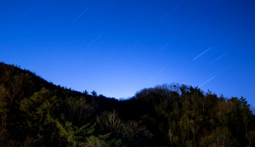 Sky, Ecosystem, Vegetation, Hill