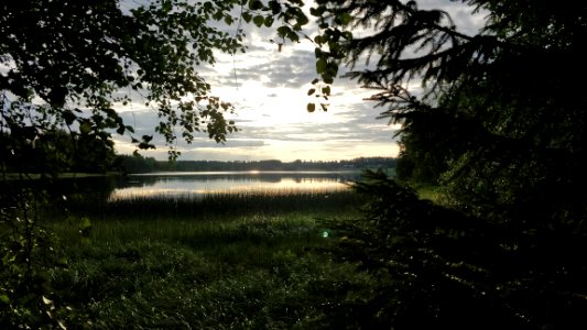 Nature, Water, Tree, Sky photo