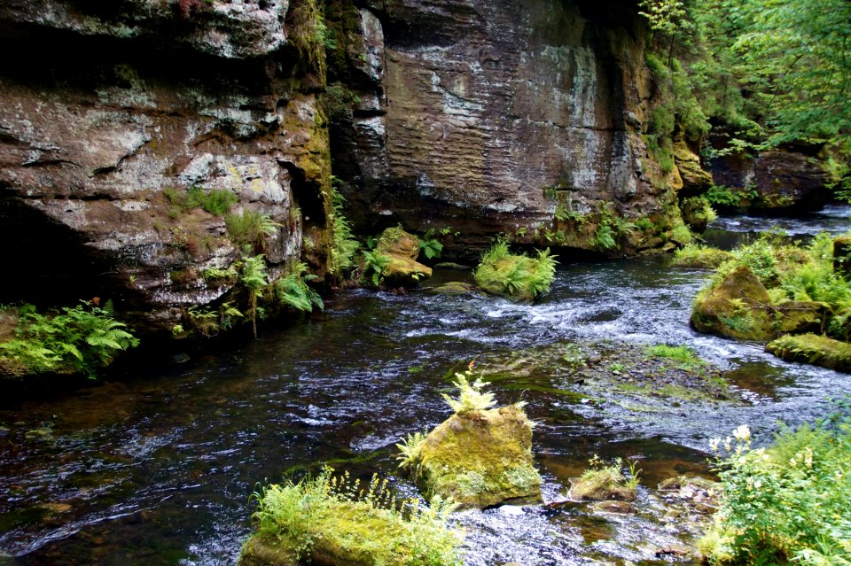 Water, Stream, Nature, Nature Reserve