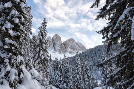 Winter, Snow, Mountainous Landforms, Tree photo