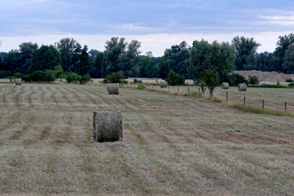 Property, Pasture, Field, Land Lot