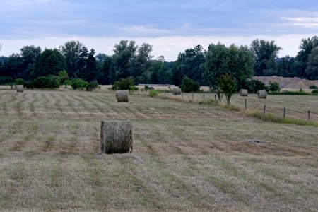 Property, Pasture, Field, Land Lot