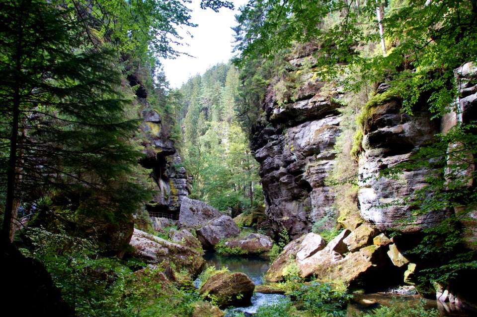 Nature, Nature Reserve, Water, Vegetation photo