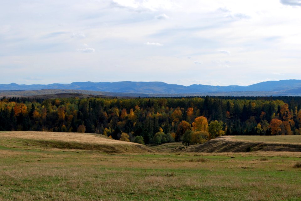 Ecosystem, Sky, Wilderness, Highland